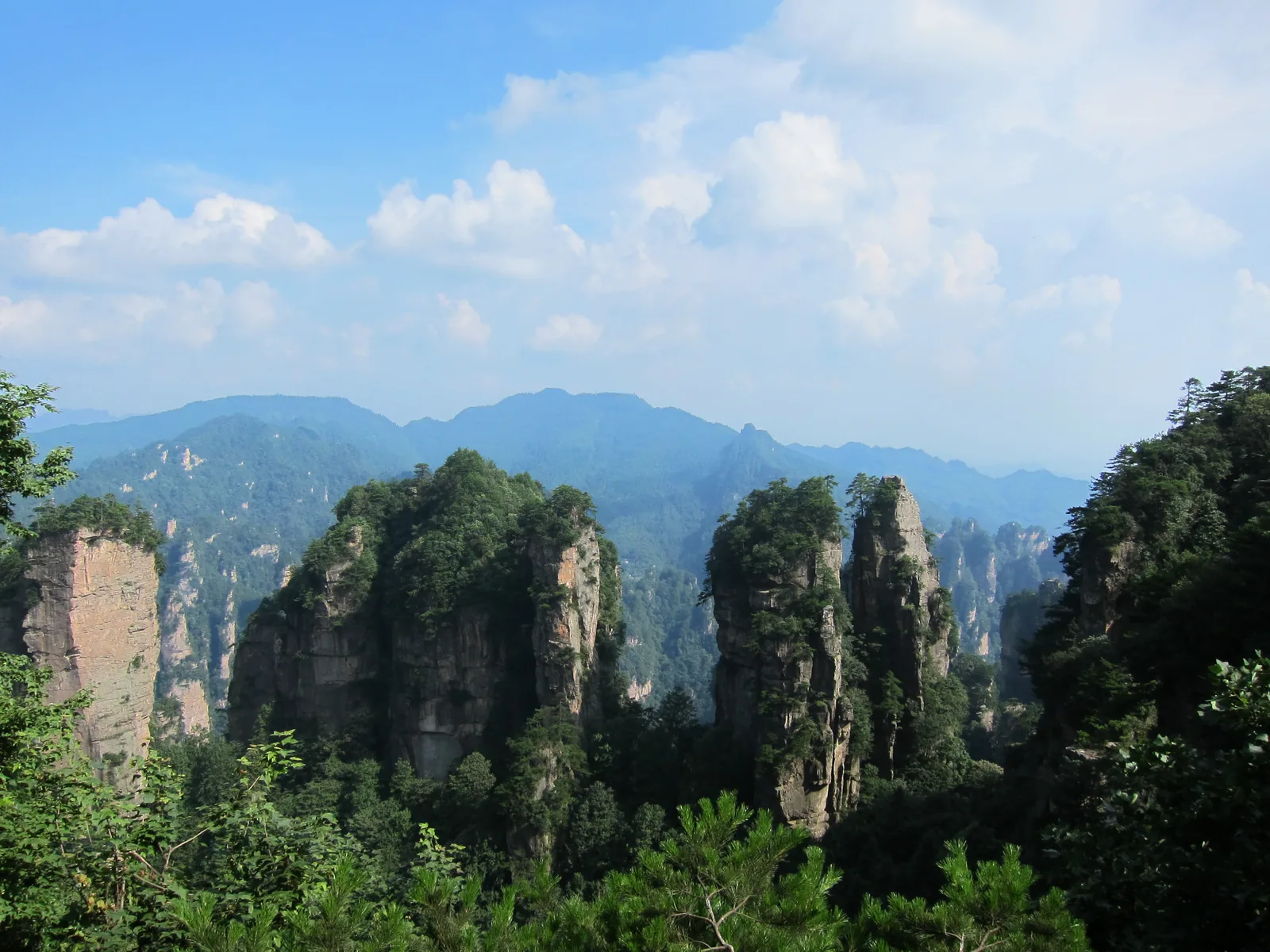 Forested sandstone pillars in Zhangjiajie National Forest Park