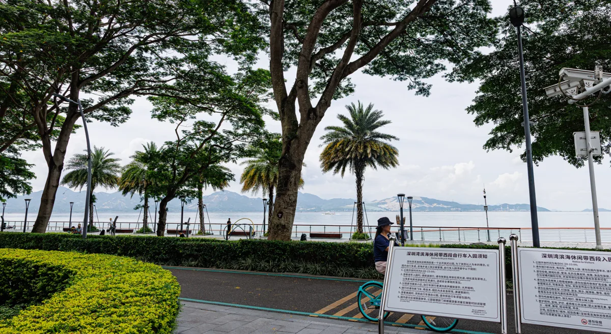 Tree-lined waterfront path beside Shenzhen Bay